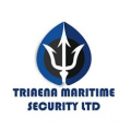 Triaena Maritime Security LTD.